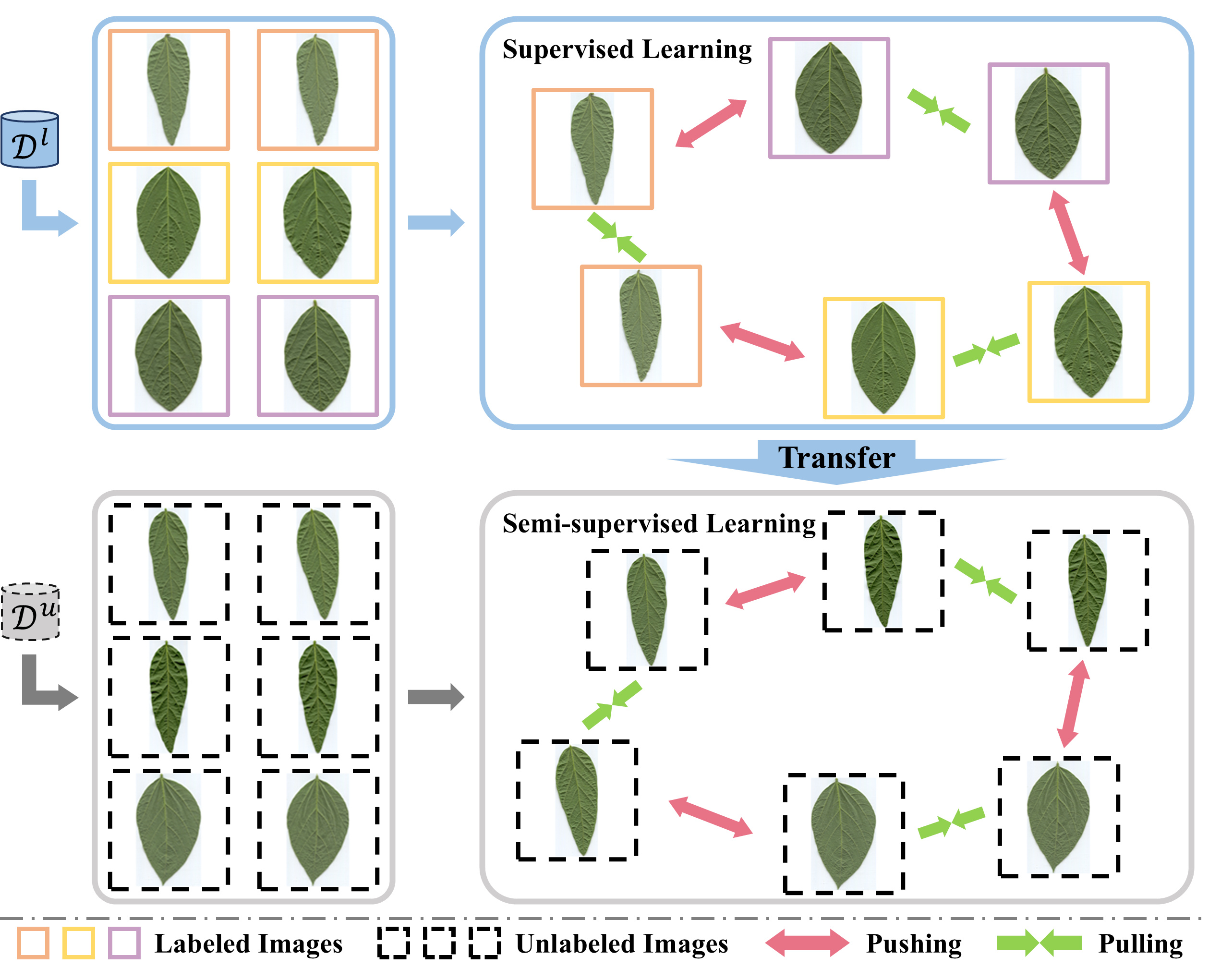 Novel Class Discovery for Ultra-Fine-Grained Visual Categorization